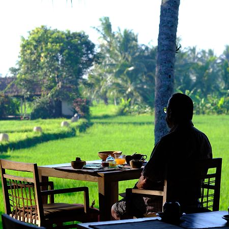 Mathis Retreat Ubud Ngoại thất bức ảnh