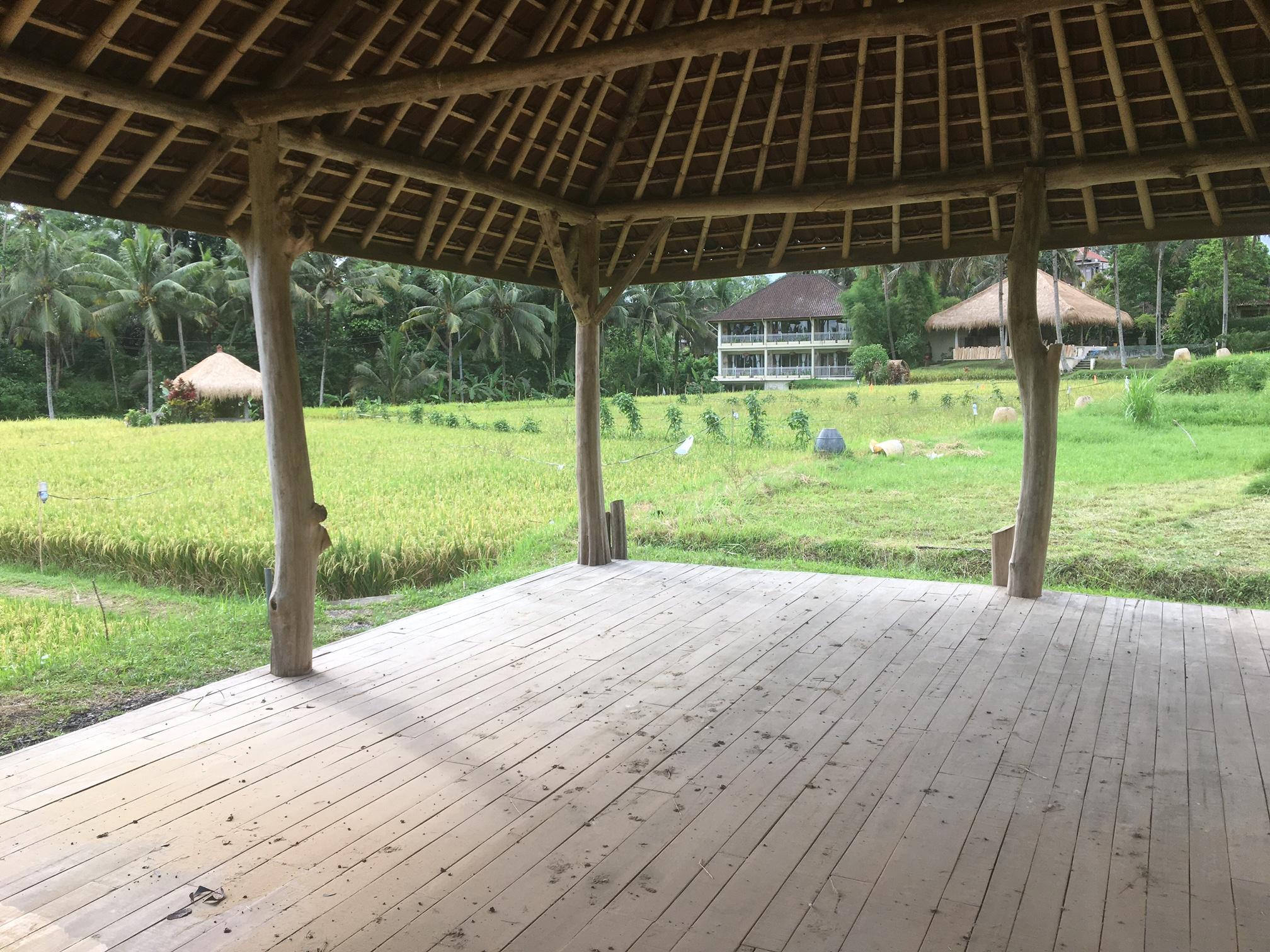 Mathis Retreat Ubud Ngoại thất bức ảnh