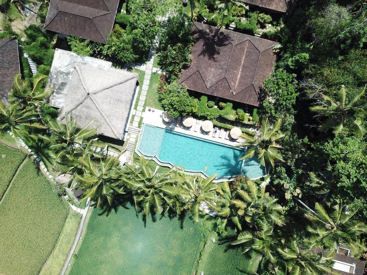 Mathis Retreat Ubud Ngoại thất bức ảnh