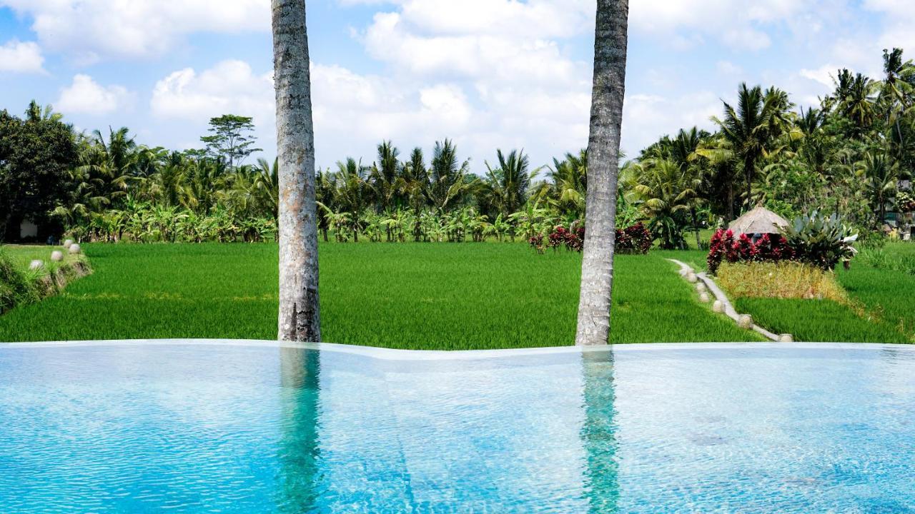 Mathis Retreat Ubud Ngoại thất bức ảnh